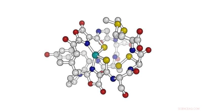 Bacteria Convert Methane into Protein, Reducing Greenhouse Gas