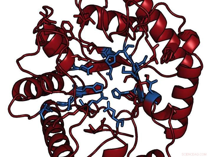 Bacteria Convert Methane into Protein, Reducing Greenhouse Gas