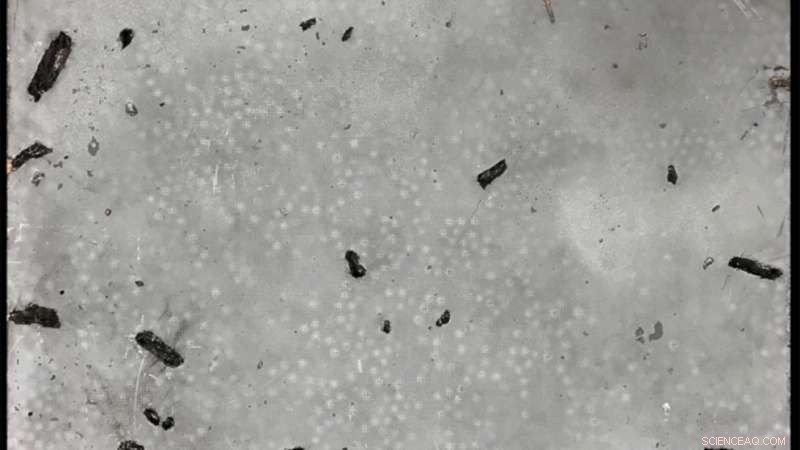 Lightweight Metal Foam Blocks to Mitigate Blast Waves and High-Explosive Debris