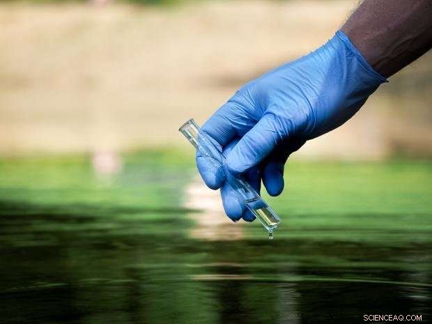 Smartphone Sensors Detect Contaminated Water: A Reliable Tool for Safe Drinking