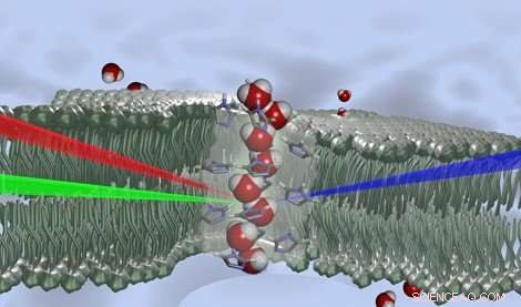 Advanced Bio-Inspired Membranes for Efficient Water Filtration