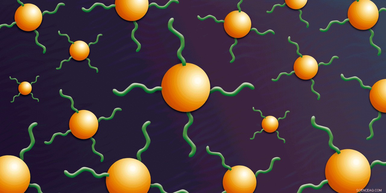 Carnegie Mellon Breakthrough: 10‑Fold Faster Production of Protein Nano‑Armor