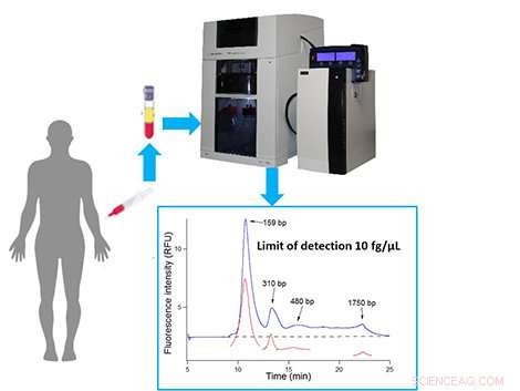 BIABooster: A Highly Sensitive Tool for Detecting Circulating DNA in Blood