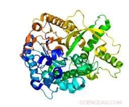 UT Southwestern Deciphers Alpha Klotho’s Molecular Blueprint, Advancing Anti-Aging Research