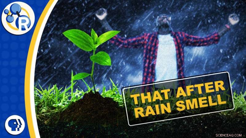 Discover Petrichor: The Enchanting Aroma of Rain in Our New Video