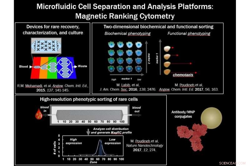 Precision Single-Cell mRNA Cytometry Using Sequence-Specific Nanoparticle Clustering and Trapping