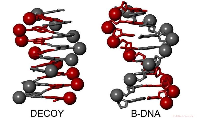 DNA-Mimic Outsmarts Viral Enzyme: A Breakthrough in Biomimetic Chemistry
