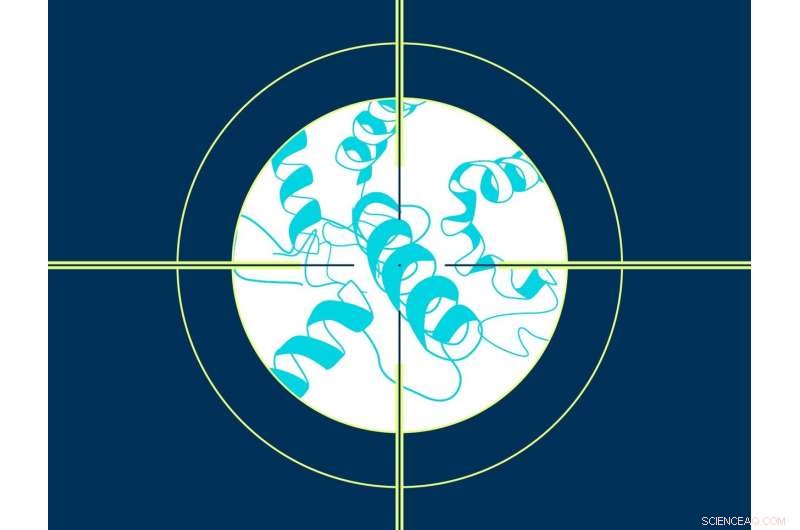 Protein Structure Analysis Enables Precise Drug Targeting