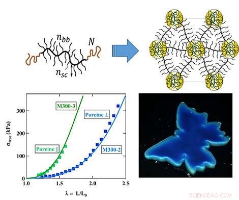 Advanced Plastomer Polymers That Replicate Chameleon Skin Flexibility