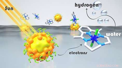 Eco-Friendly, Cost-Effective Light Absorbers for Sustainable Hydrogen Production