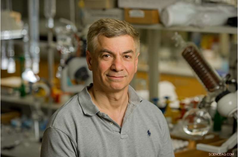 Enzyme-Driven Survival: How a Single Protein Lets Bacteria Bounce Back from Antibiotics