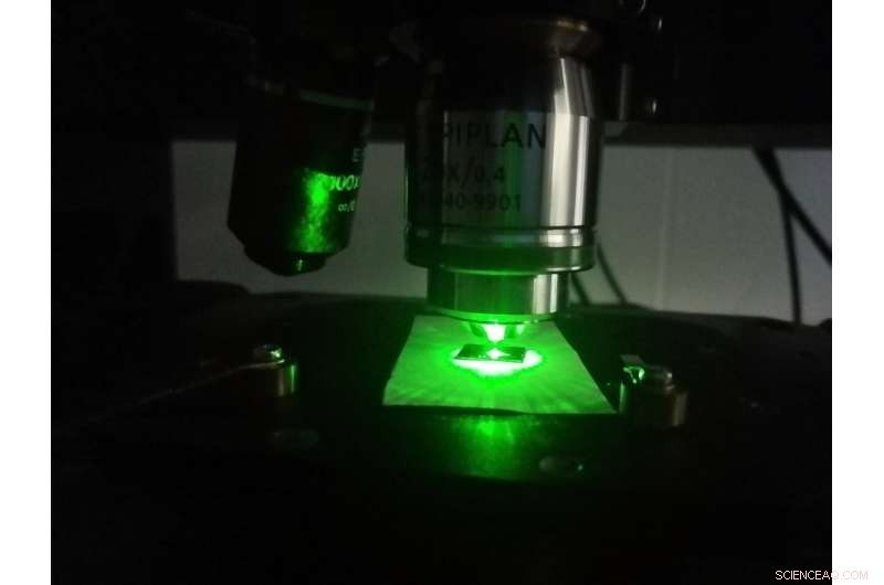 Carbon Nanoparticle Technology Enables Sensitive Detection of Antidepressants in Urine