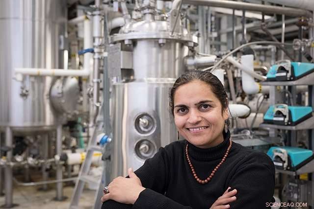 Oil‑Eating Bacterium Offers Breakthrough in Pollution and Spill Cleanup