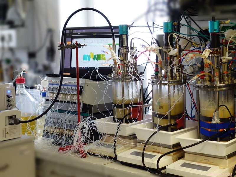 Digital Penicillin Production: Real-Time Simulation Boosts Yield