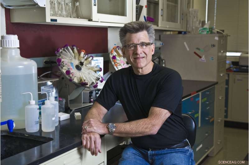 Biomimetic Membrane Eliminates CO₂ and Greenhouse Gases from Coal Smoke