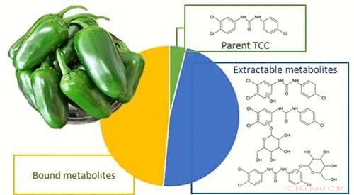 Pepper Plants Absorb Antibiotic Residues from Personal Care Products