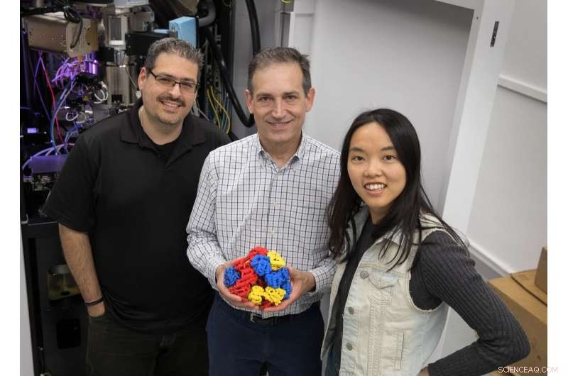 UCLA’s Scaffolding Technique Reveals Protein Structures in Unprecedented Detail