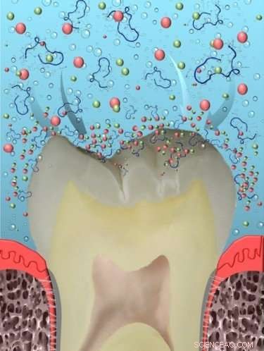 Revolutionary Peptide‑Based Dental Product Aims to Restore Enamel and Treat Cavities