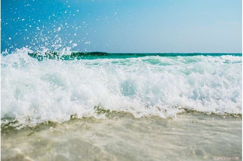 Combating Ocean Plastic Pollution: Proven Strategies to Stem the Tide