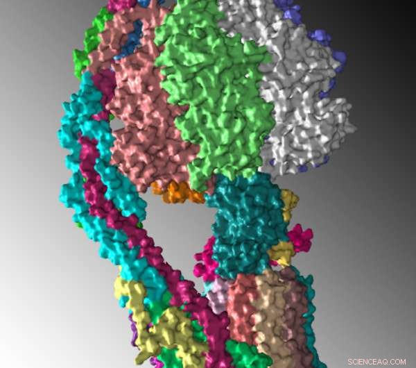 Revealing ATP Synthase s 3D Structure with Cryo‑Electron Microscopy