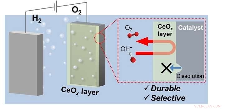Improving Oxygen Catalyst Longevity for Reliable Hydrogen Generation