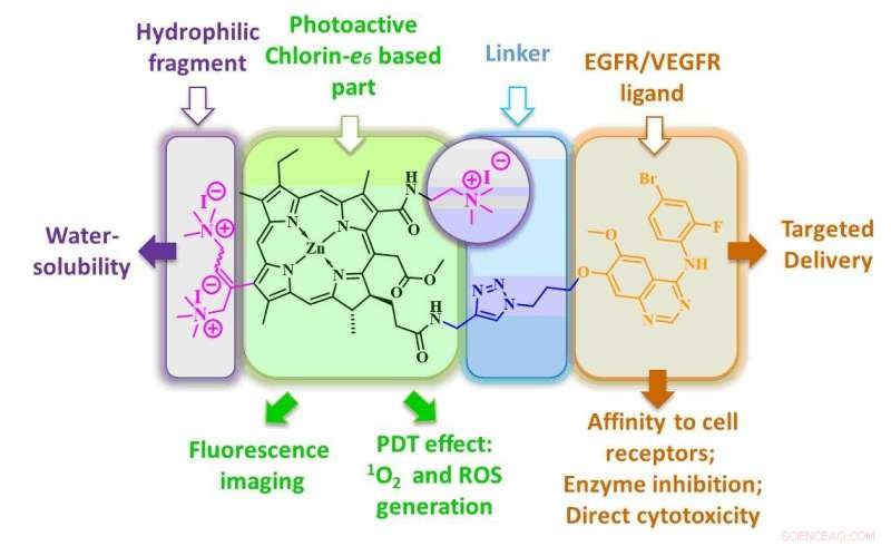 Highly Selective Antitumor Photodynamic Agents Synthesized – A Breakthrough in Cancer Therapy