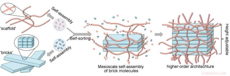 Molecular Scaffolding Enables Precise Nanostructure Assembly