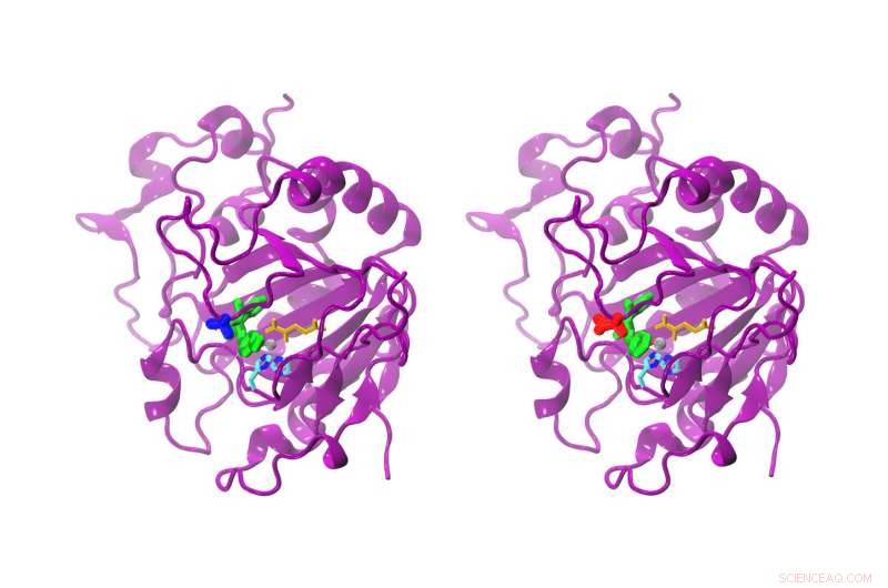 Computational Study of AsqJ Reveals New Catalytic Pathways for Drug Development