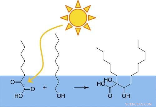 Sunlight s Role in Building Larger Atmospheric Molecules