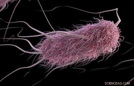 Caltech s Machine Learning Tool Predicts Bacterial Behavior with Unprecedented Accuracy