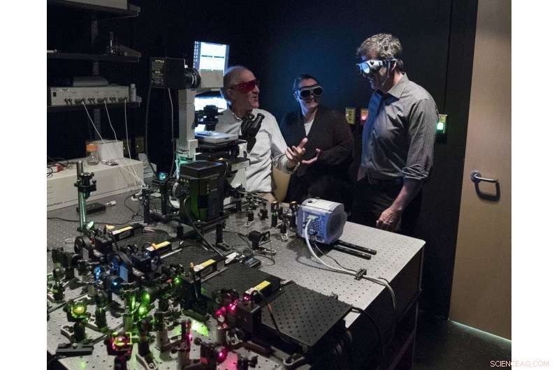 DIY Microscope Uncovers How Cancer Virus Attaches to Human DNA