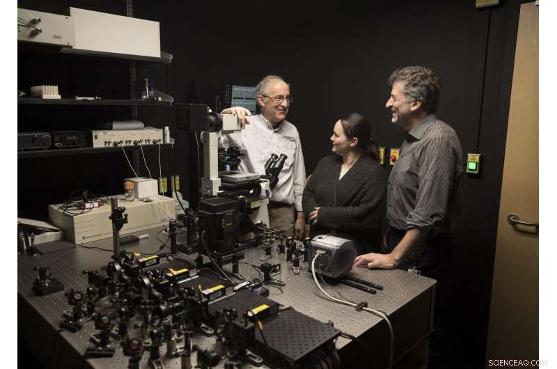 DIY Microscope Uncovers How Cancer Virus Attaches to Human DNA