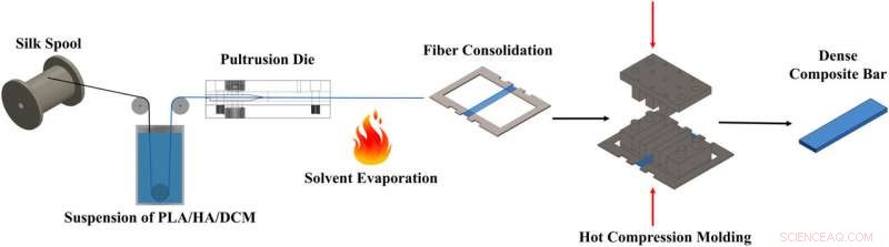 Spider Silk Drives Innovation in Biodegradable Bone Fixation Composite