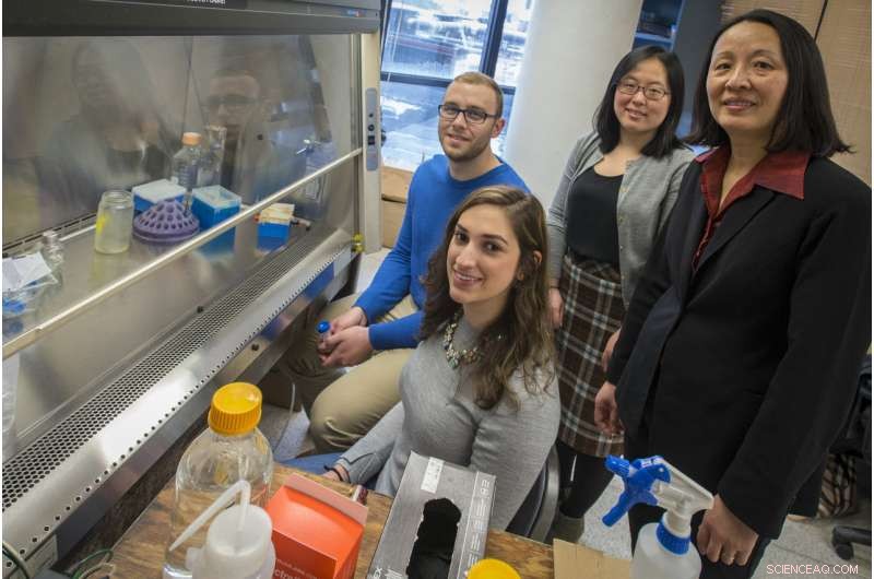 Spider Silk Drives Innovation in Biodegradable Bone Fixation Composite