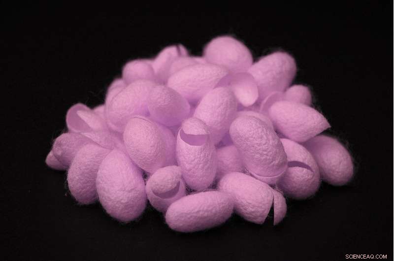 Far‑Red Fluorescent Silk: A Cutting‑Edge Antibacterial Solution for Biomedical and Environmental Applications