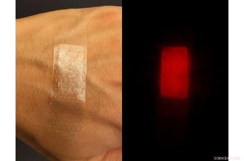 Far‑Red Fluorescent Silk: A Cutting‑Edge Antibacterial Solution for Biomedical and Environmental Applications