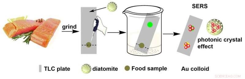 Fossilized Algae Offer Promising Advances in Food Safety Testing
