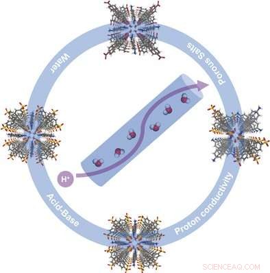 Revolutionary Porous Organic Salts for High-Performance Fuel Cells