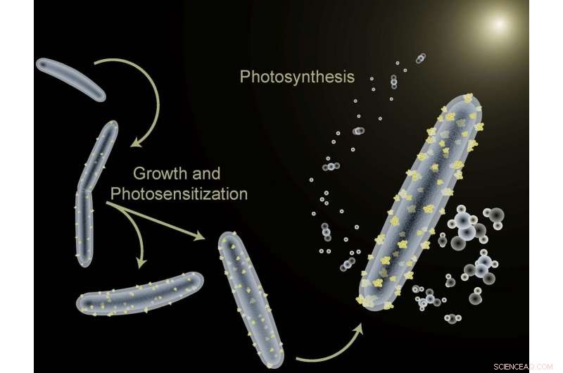 Unifying Catalysis: Pursuing Perfect Chemistry
