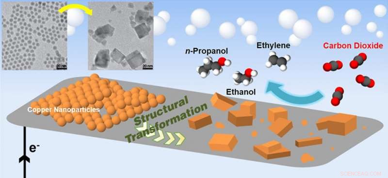 Unifying Catalysis: Pursuing Perfect Chemistry
