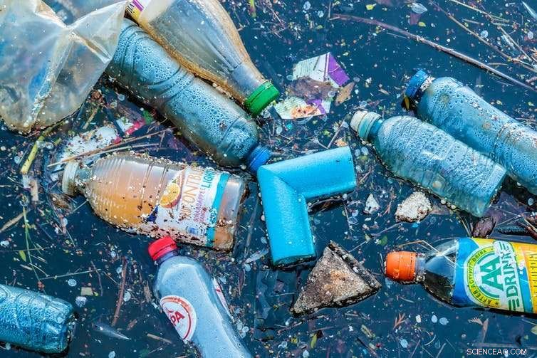Inside the Science: How Plastic‑Eating Bacteria Break Down Waste, Explained by a Chemist