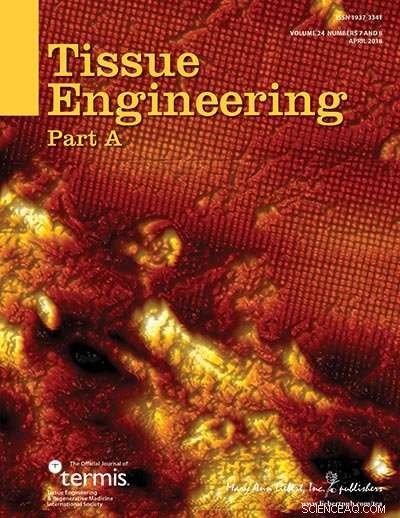 Silk Implants Deliver Antisense miRNA to Boost Bone Regeneration