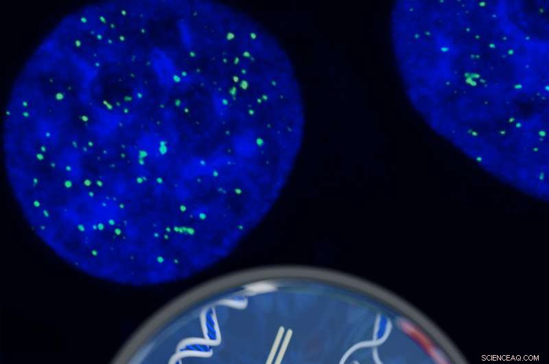 Scientists Unveil First-Ever Tangled DNA Knot Structure