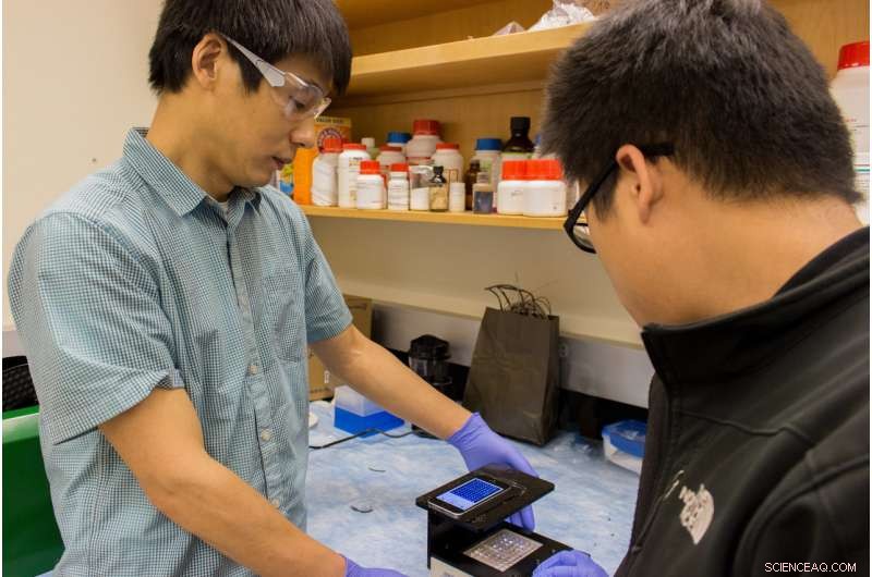 WSU Innovates with Smartphone Reader for Rapid Detection of Infectious Diseases
