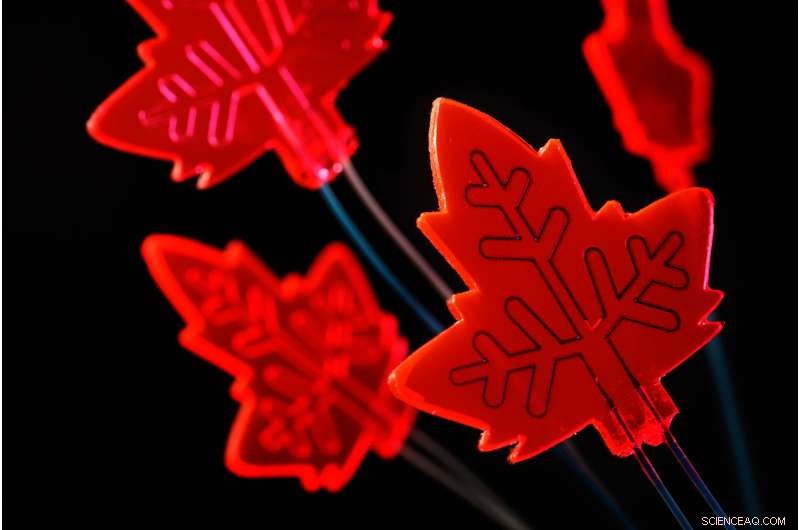 Artificial Leaf Mini-Factories: Harnessing Light to Produce Medicines