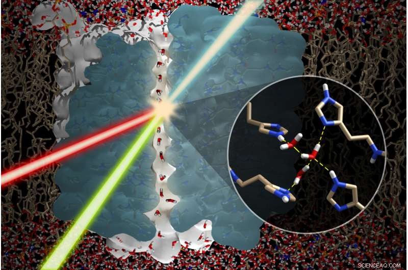 Evidence of Water Wire Formation Inspired by Biological Channels