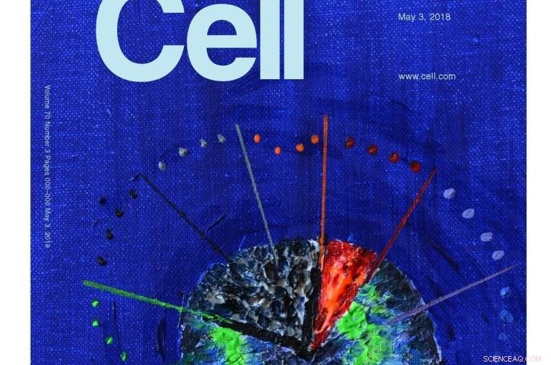 How Hsp70 and Hsp90 Guide Proteins to Their Correct Fold