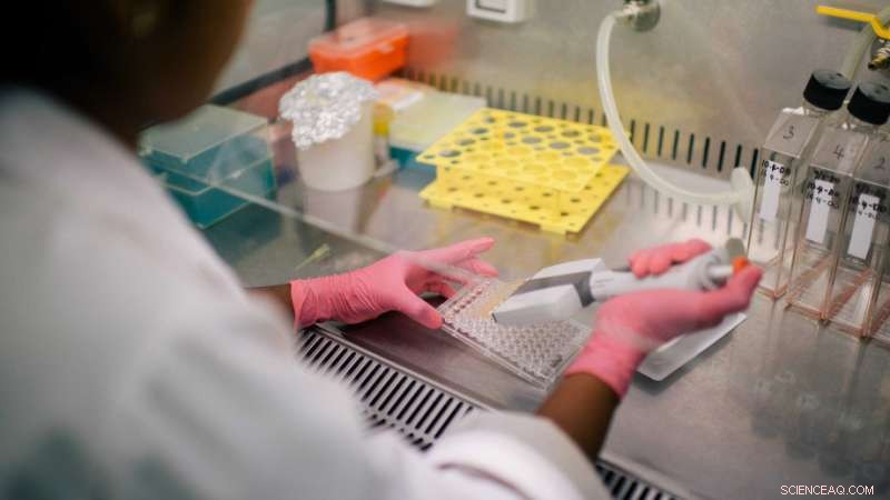 ANU Study Decodes Molecular Evolution of Modern Enzymes