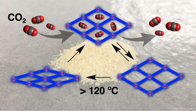 Shape‑Memory CO₂‑Adsorbing Crystals: Advancing Biomedical Material Design