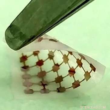 Scientists Reveal Light-Based Technique to Control Biology Without Genetic Modification